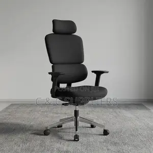Orthopedic Fabric Modern Chair