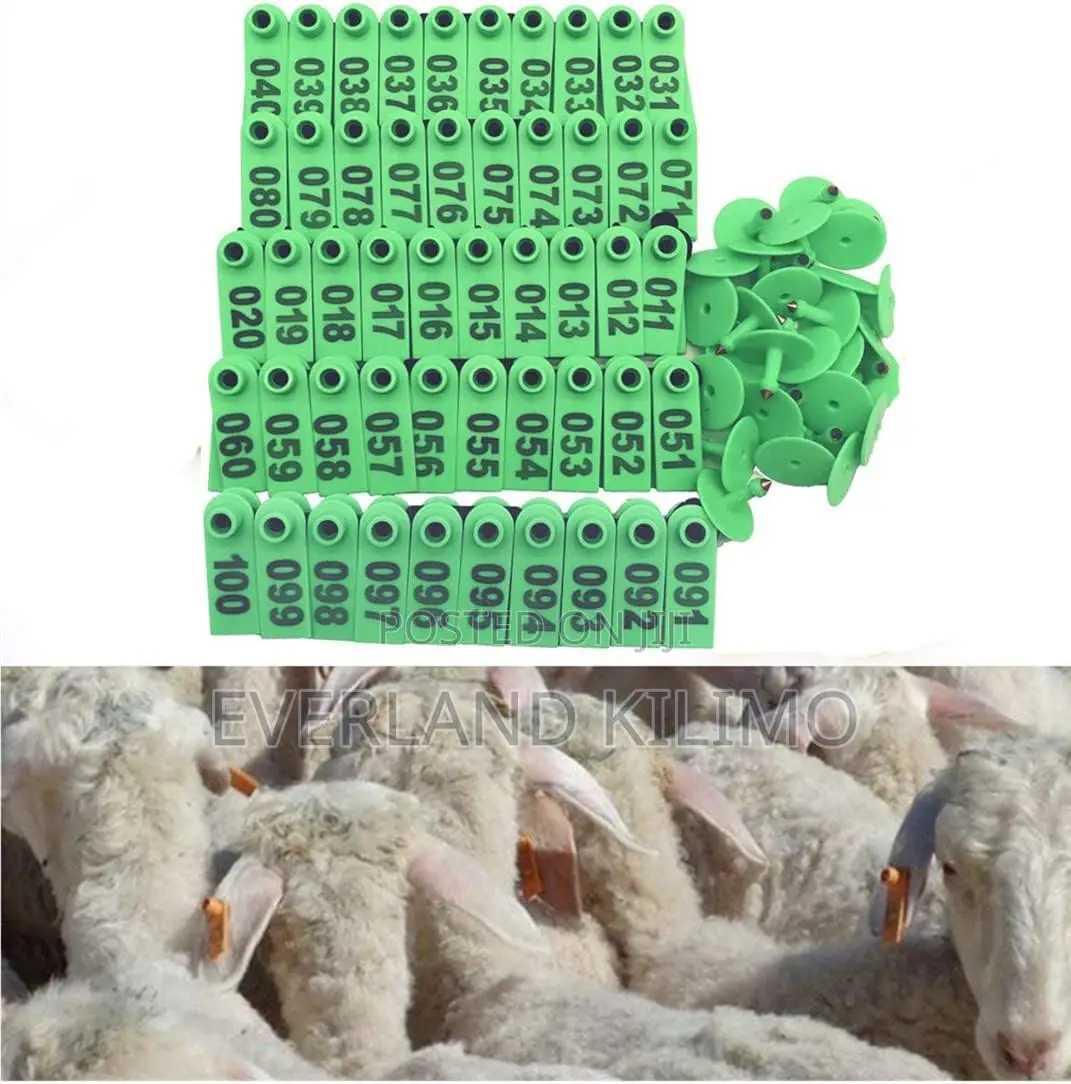 Sheep Slim Ear Tag Numbered