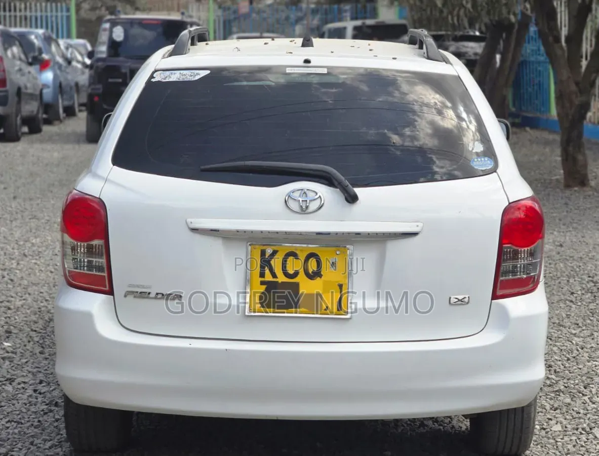 Toyota Corolla Fielder 2010 White
