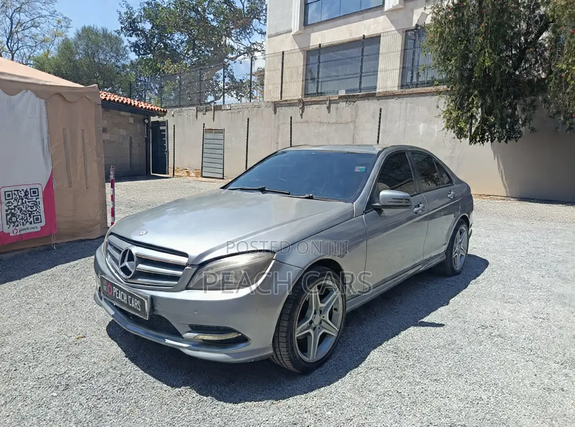 Mercedes-Benz C-Class 2009 Gray