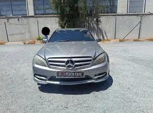Mercedes-Benz C-Class 2009 Gray