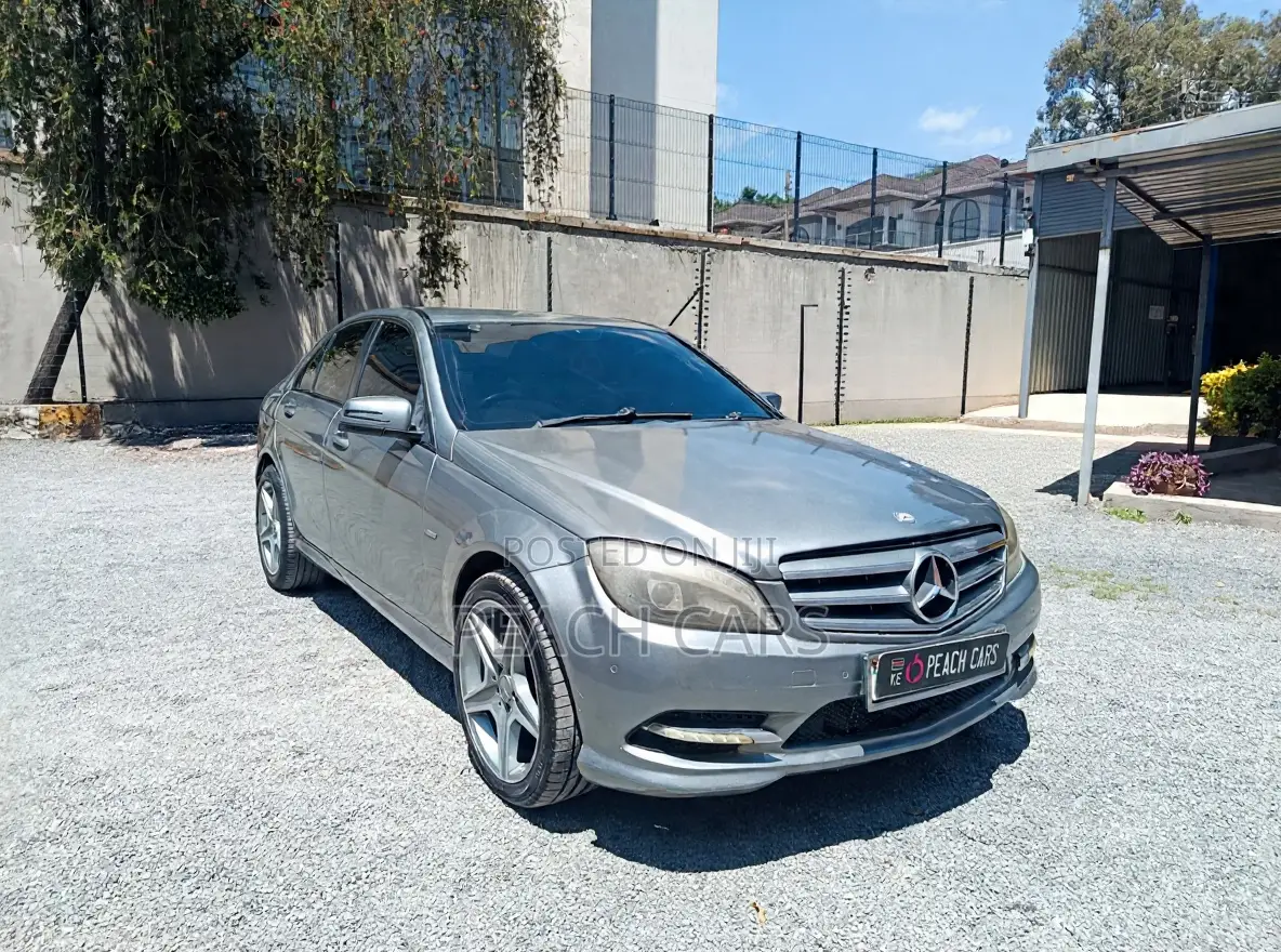 Mercedes-Benz C-Class 2009 Gray