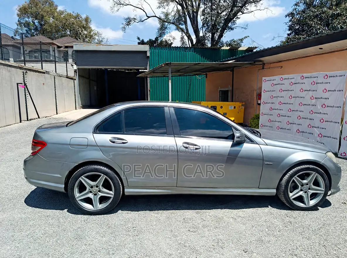 Mercedes-Benz C-Class 2009 Gray