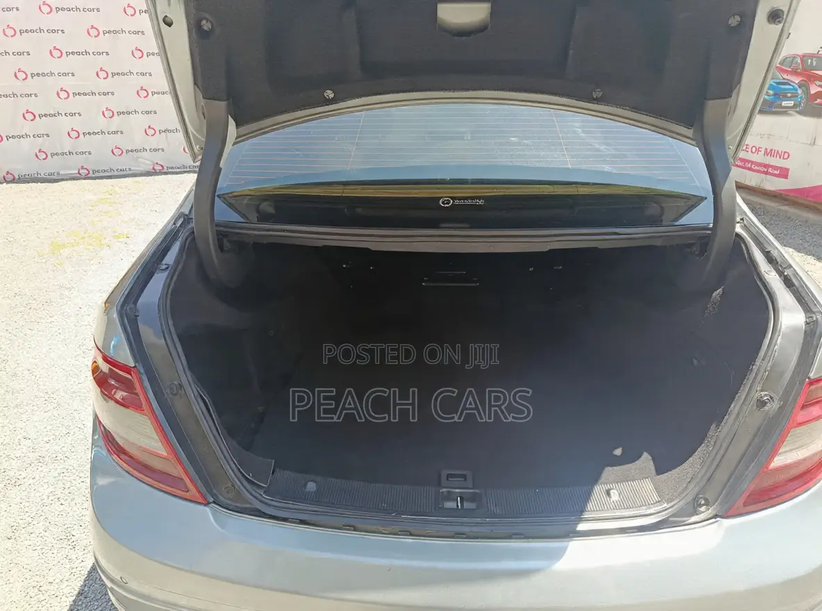 Mercedes-Benz C-Class 2009 Gray