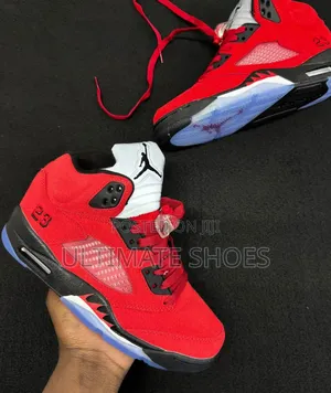 Air Jordan 5