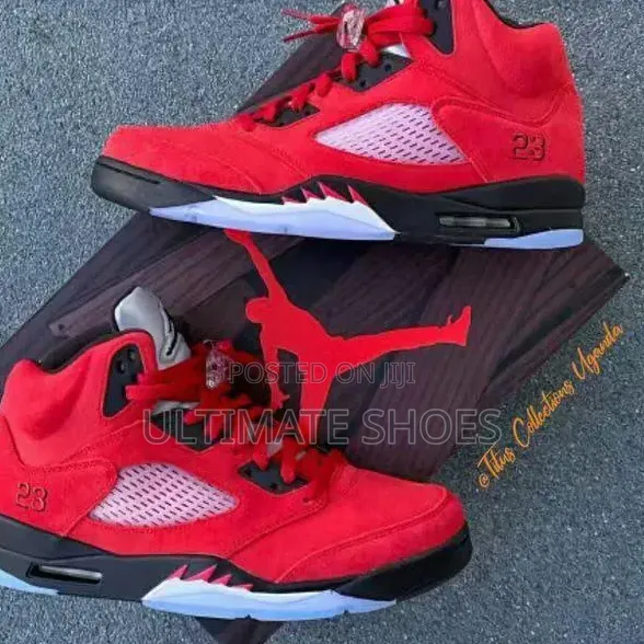 Air Jordan 5