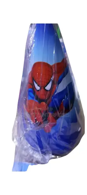 Spinder Man Birthday Hat