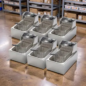 Factory Prices Quick Frying 4l/6l/10l Electric Single Tank Deep Fryers