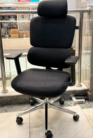 Managerial Orthopedic Comfort High-Back Office Chair – Premium Support
