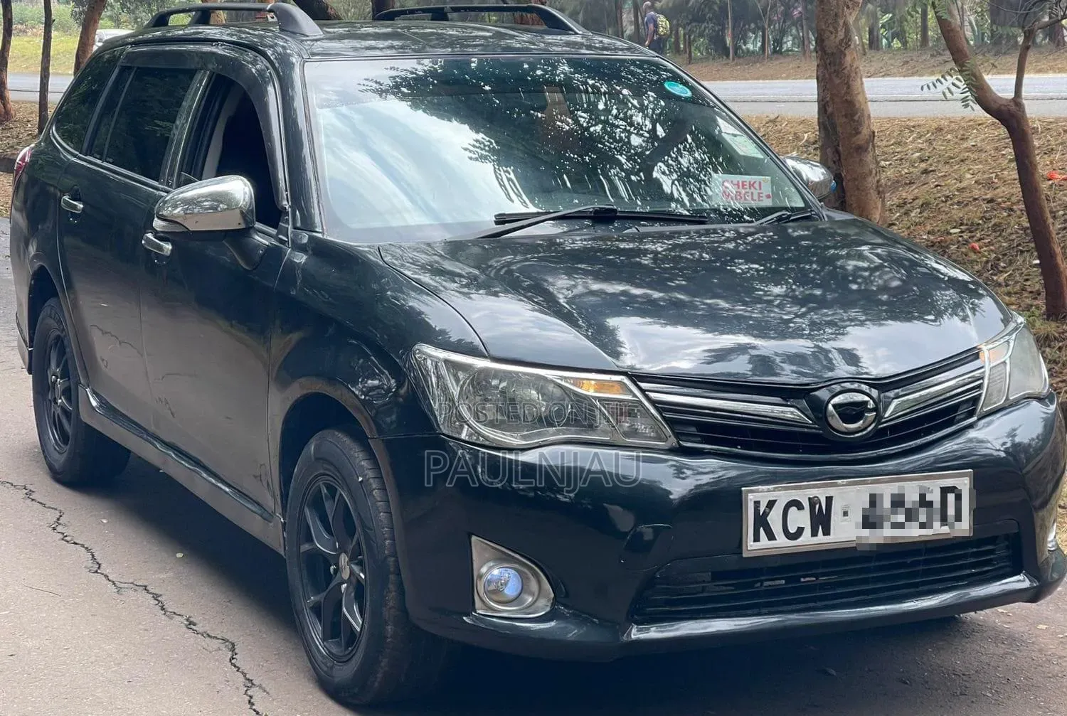Toyota Corolla Fielder 2013