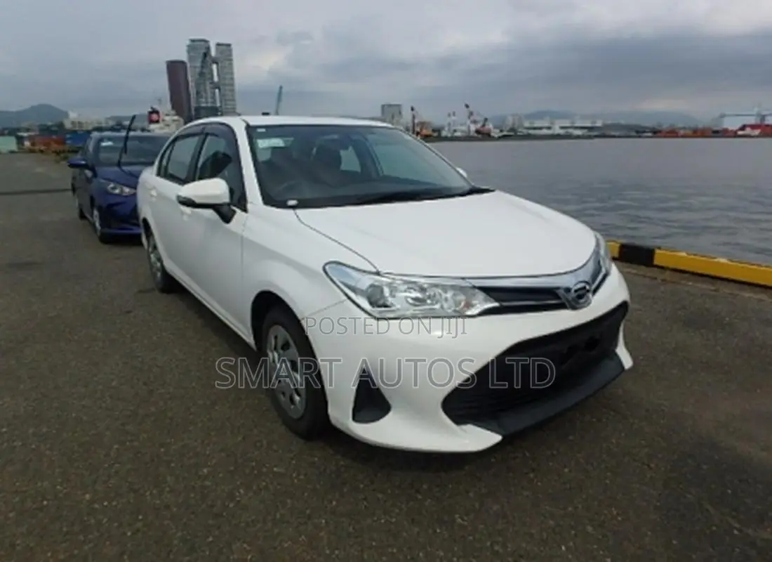 Toyota Axio 2019 Off white