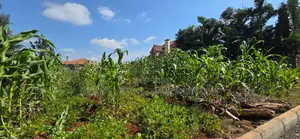 A Prime Plot for Sale in Mushroom Gardens Kiambu Road