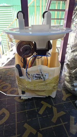 Fuel Pump Peugeot