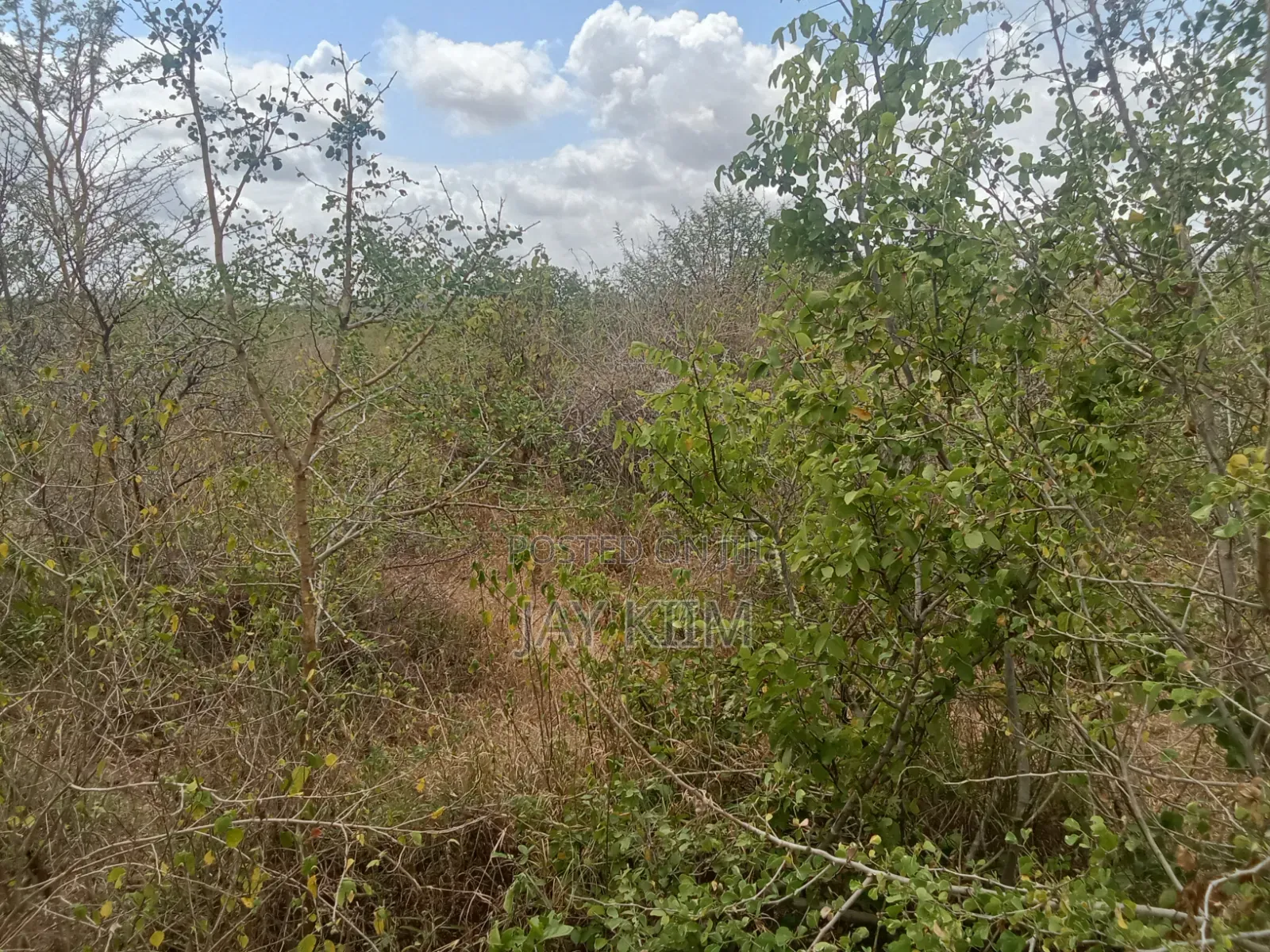 Mgombezi Agricultural Land for Sale