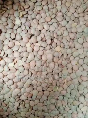 Kamande/Lentils