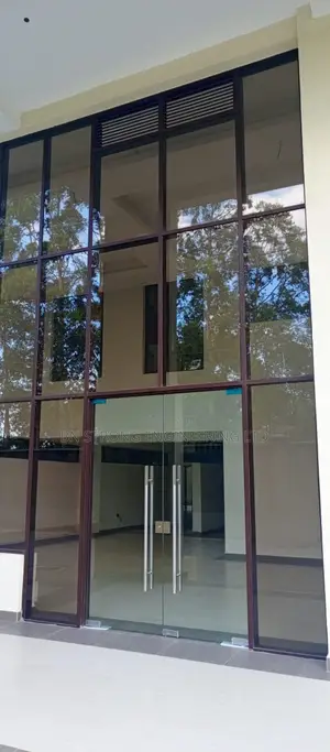 Frameless Glass Swing Doors