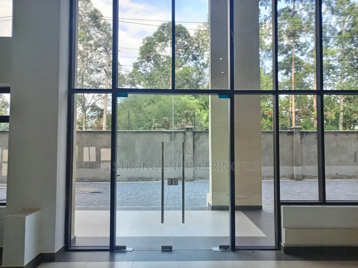 Frameless Glass Swing Doors