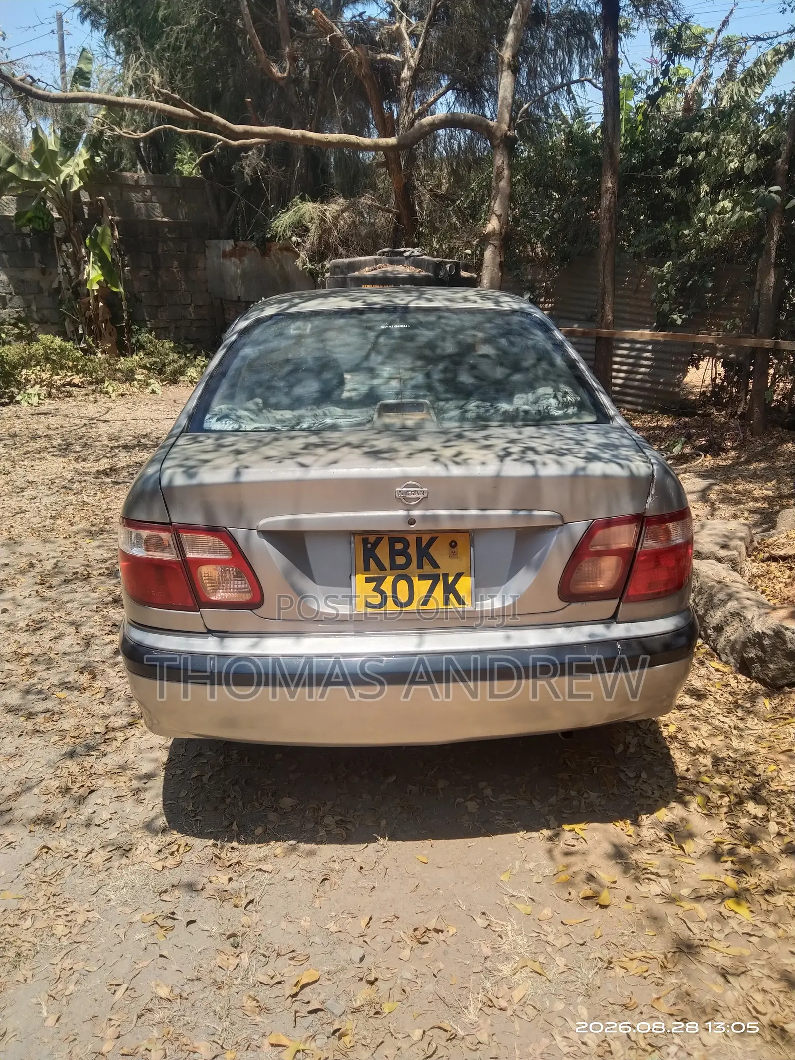 Nissan Bluebird 2003 Blue