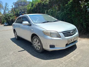 Toyota Axio 2010 Silver