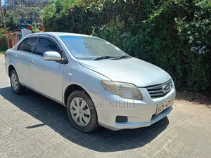 Toyota Axio 2010 Silver