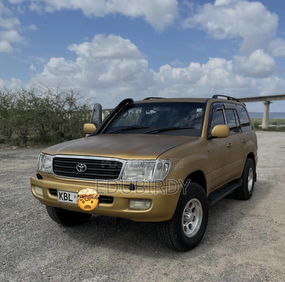 Toyota Land Cruiser 100 4.2 TD Executive 2004 Gold