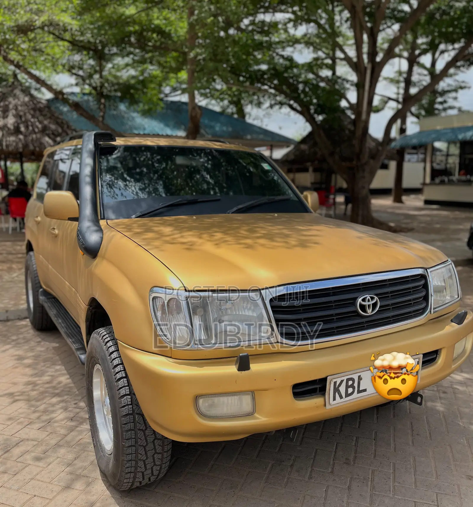 Toyota Land Cruiser 100 4.2 TD Executive 2004 Gold