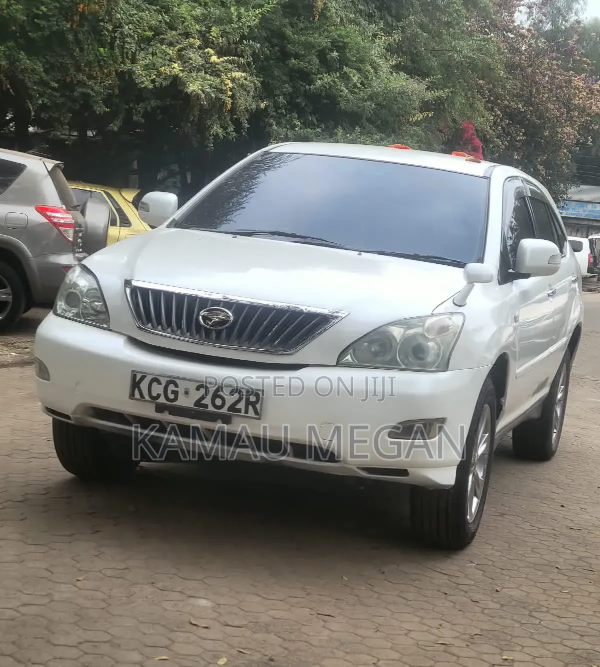 Toyota Harrier 2009 Pearl