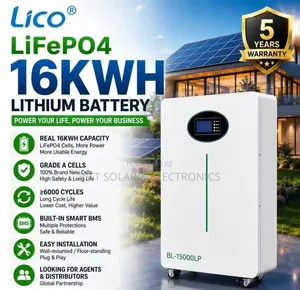 16kwh - 48v Lithium Ion Battery BMS Compatible 6000 Cycle