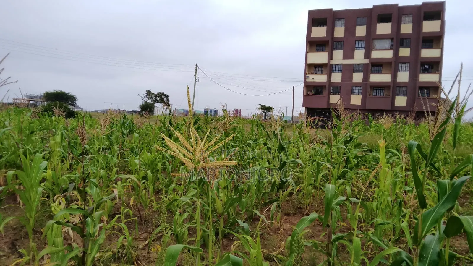 Thika Gatitu Commercial Plots
