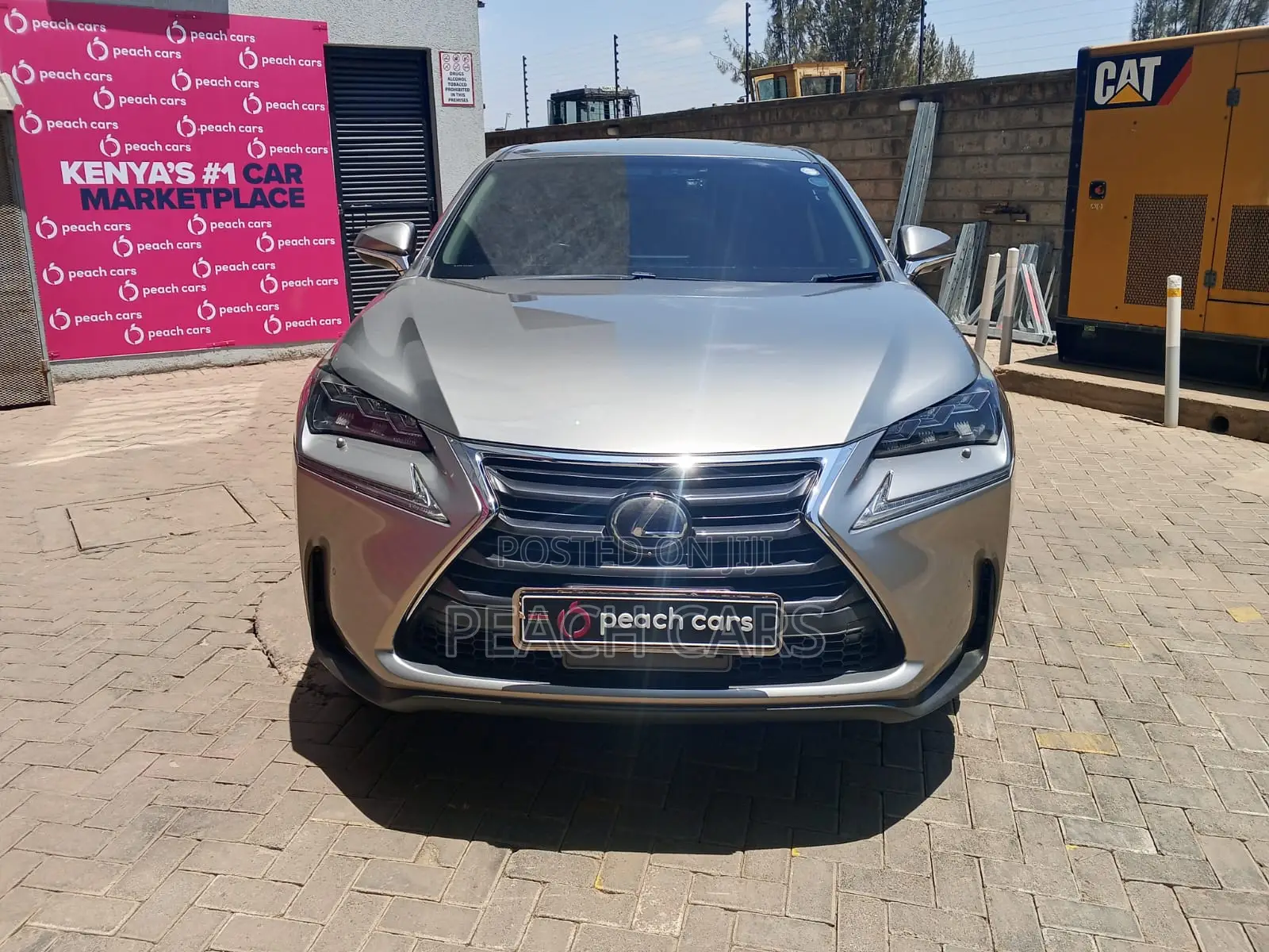 Lexus NX 2015 Gray