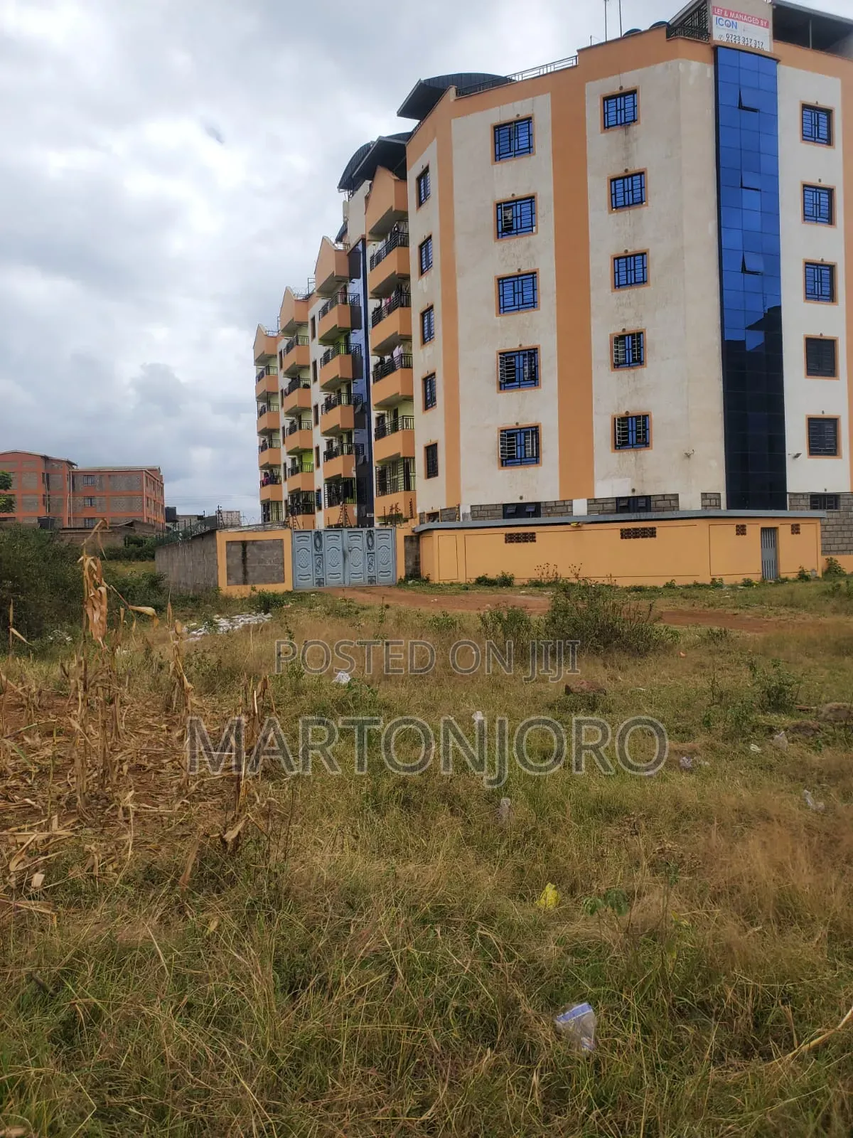 Jomoko Behide TIPS Thika