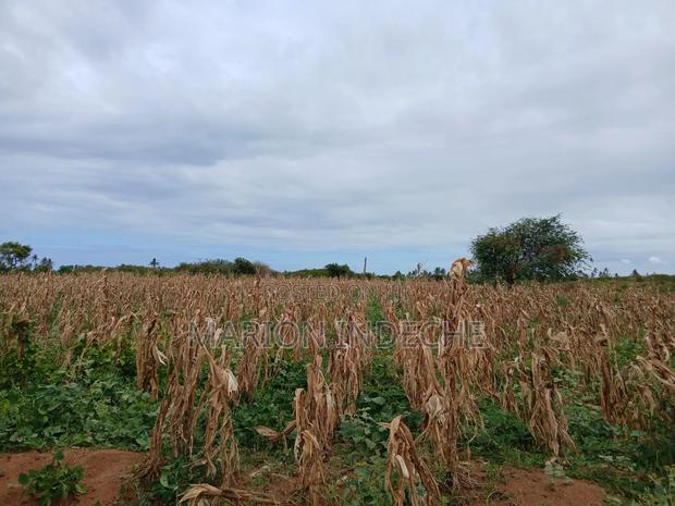 Prime 2nd Row Beach Plots for Sale in Kilifi Chumani