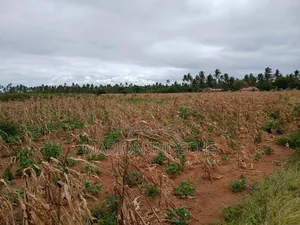 Prime 2nd Row Beach Plots for Sale in Kilifi Chumani