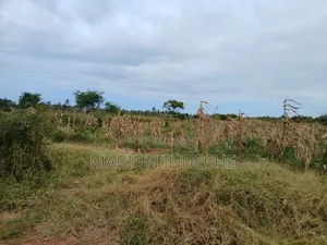 Prime 2nd Row Beach Plots for Sale in Kilifi Chumani