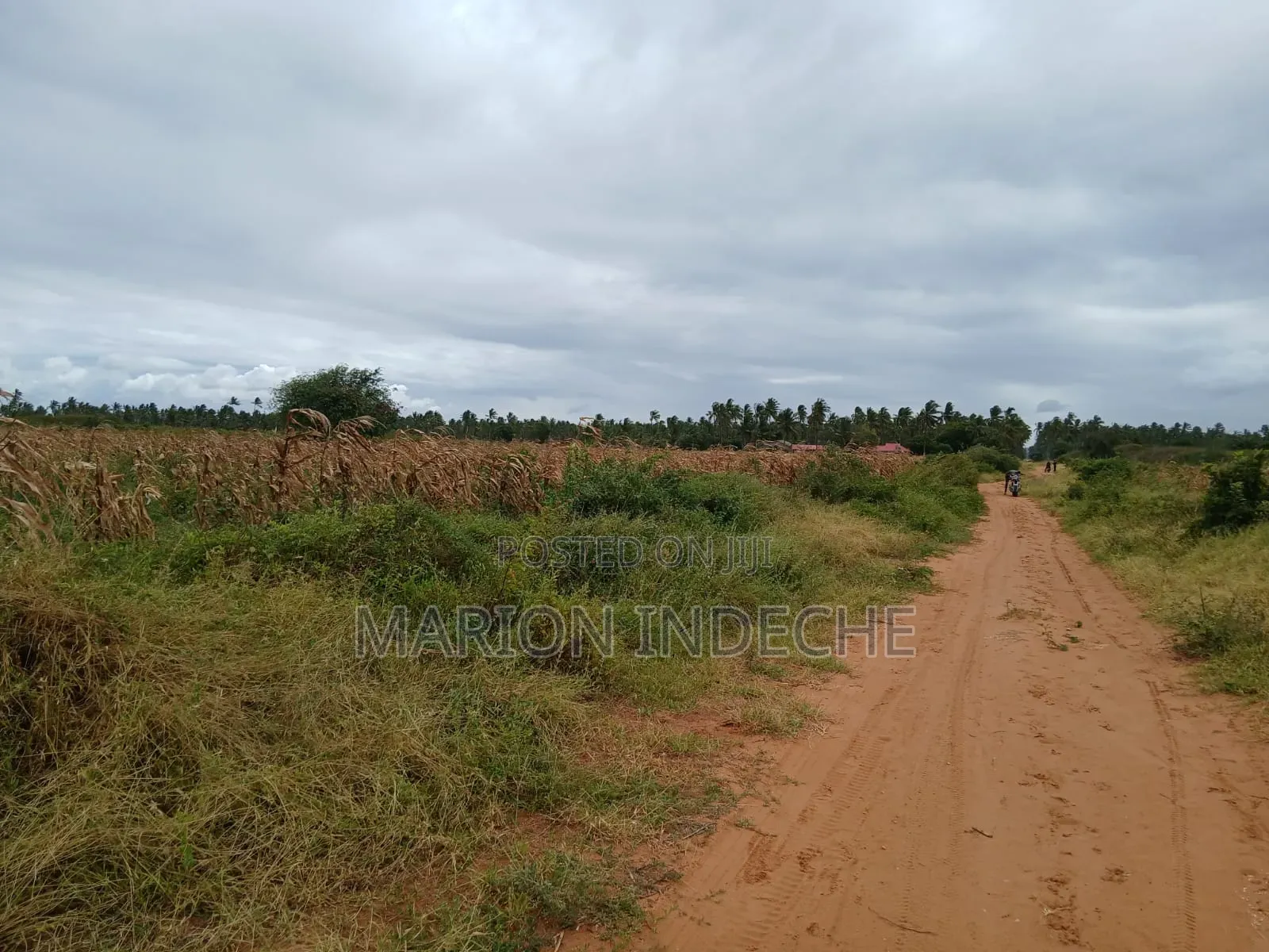 Prime 2nd Row Beach Plots for Sale in Kilifi Chumani