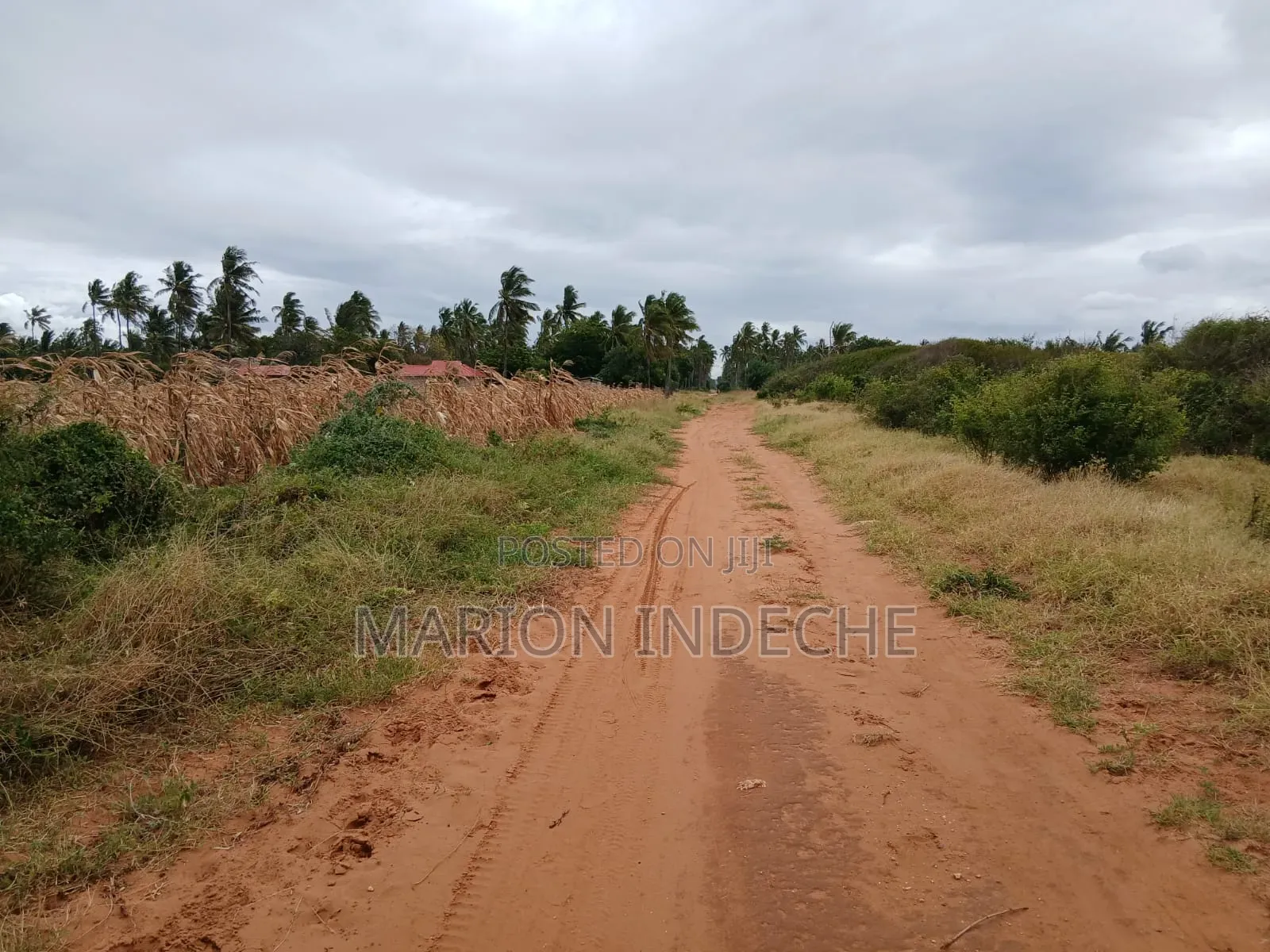 Prime 2nd Row Beach Plots for Sale in Kilifi Chumani