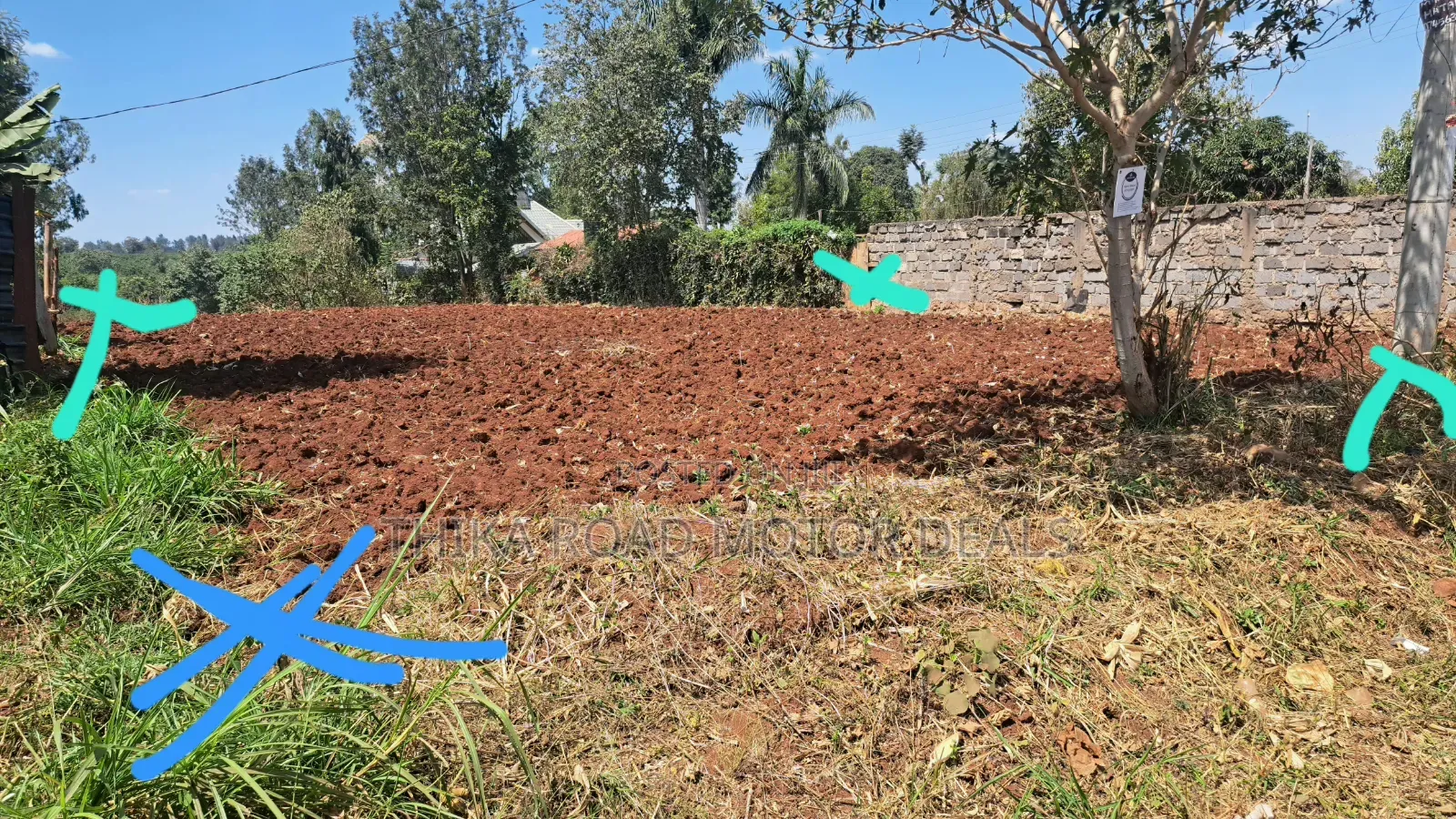 100 × 100 Plot for Sale