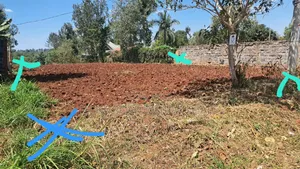 100 × 100 Plot for Sale