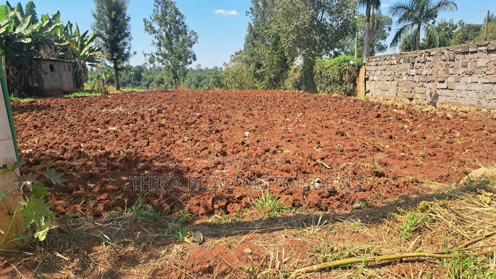 100 × 100 Plot for Sale