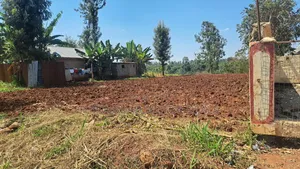 100 × 100 Plot for Sale
