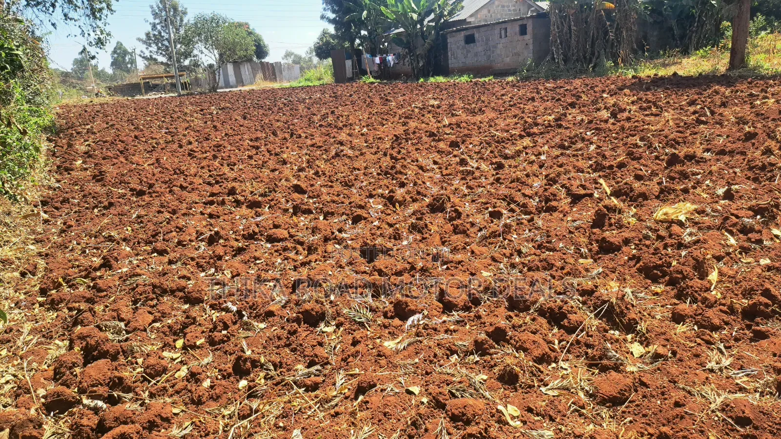 100 × 100 Plot for Sale