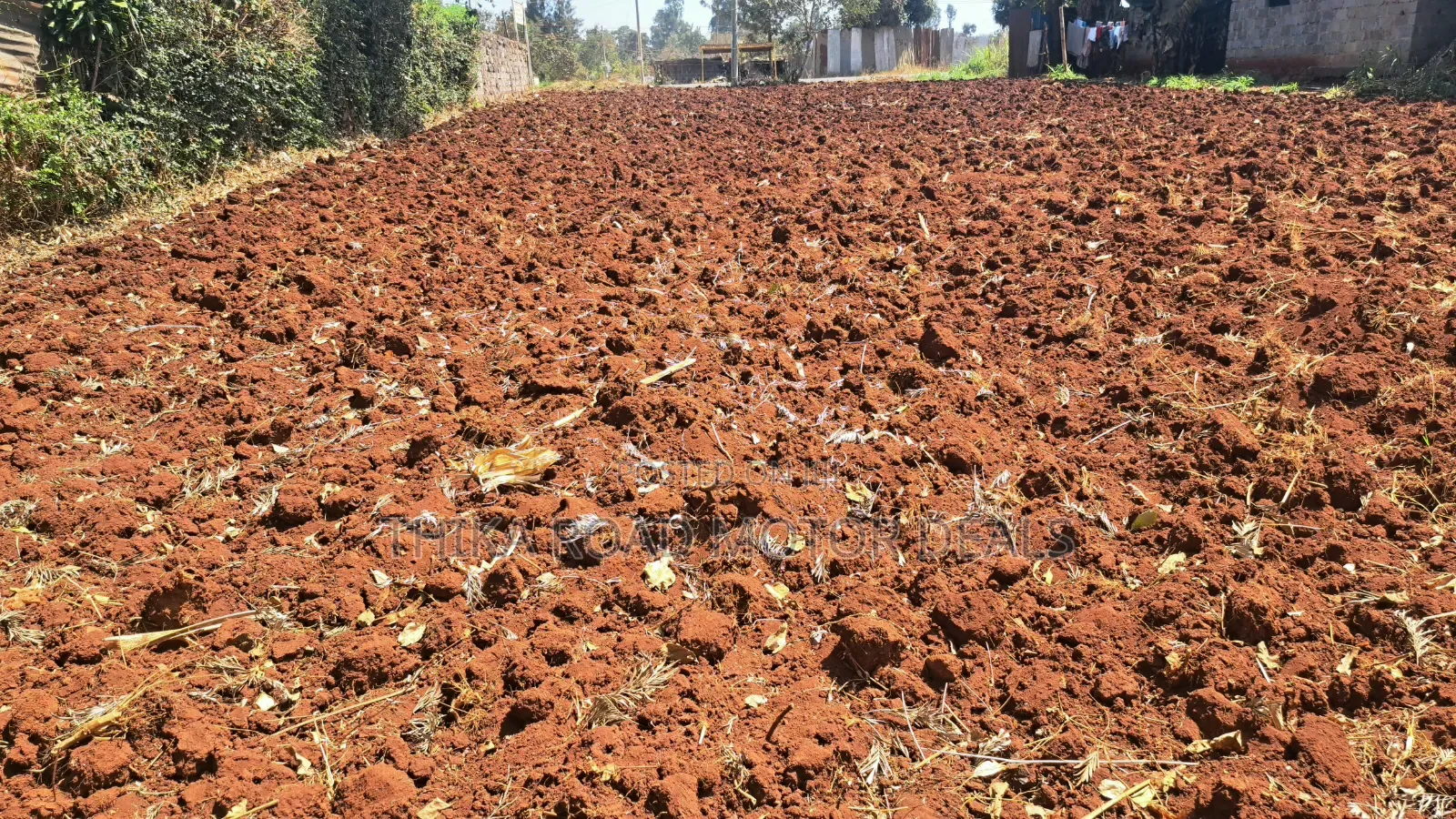 100 × 100 Plot for Sale