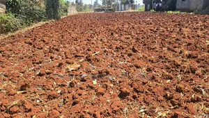 100 × 100 Plot for Sale