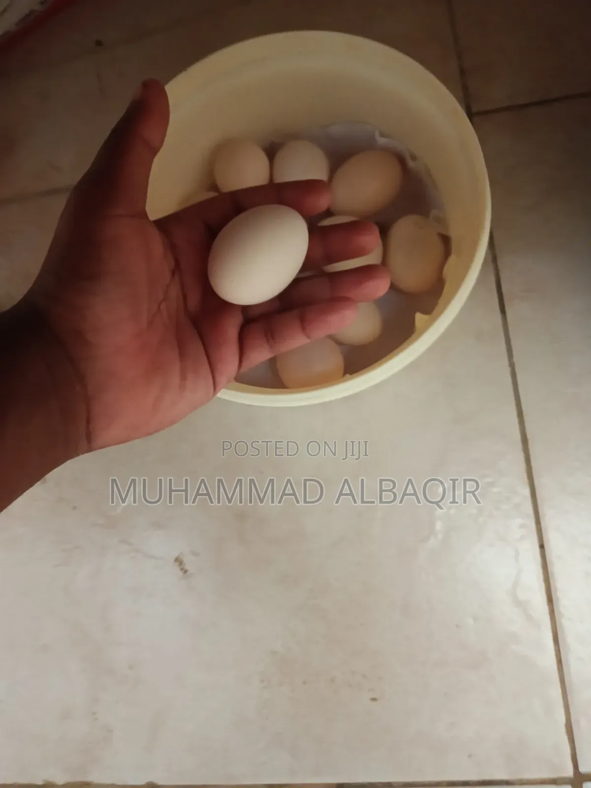 Fresh Kienyeji Eggs