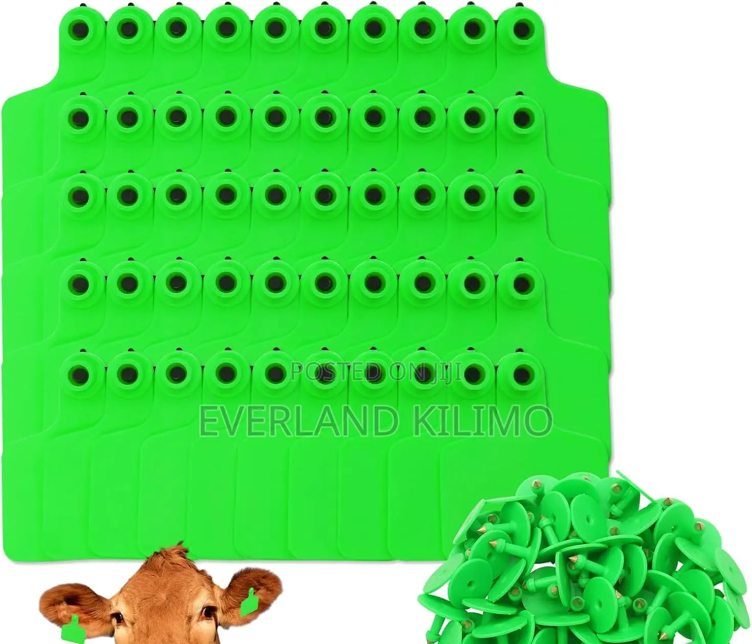 Extra-Bold Numbered Cattle Ear Tags - Medium