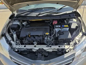 Toyota Axio 2012 Brown