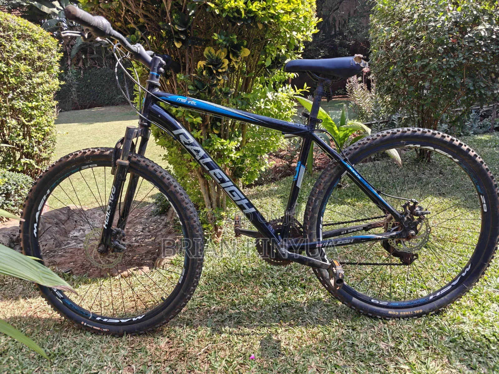 Raleigh Mach One 29'