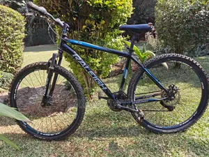 Raleigh Mach One 29'