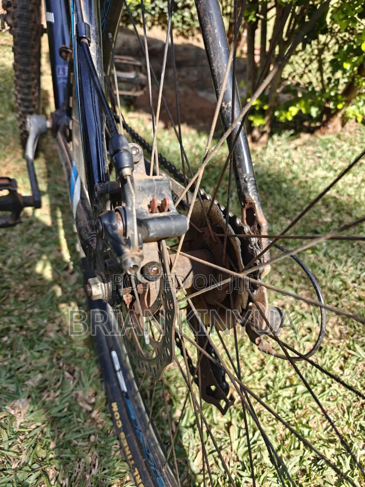 Raleigh Mach One 29'