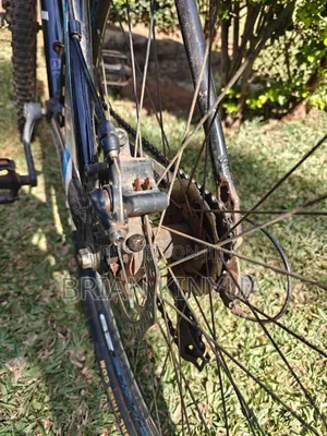 Raleigh Mach One 29'